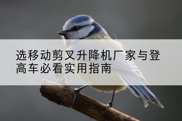 綦江区电动升降机厂家-选移动剪叉升降机厂家与登高车必看实用指南