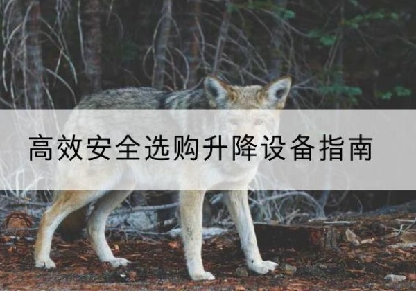 綦江区升降货梯厂家推荐-*安全选购升降设备指南